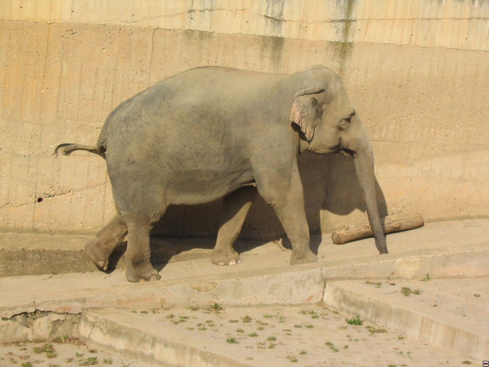 img00110.jpg