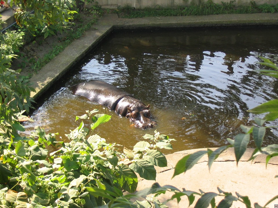 img00111.jpg