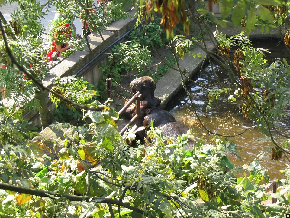 img00112.jpg