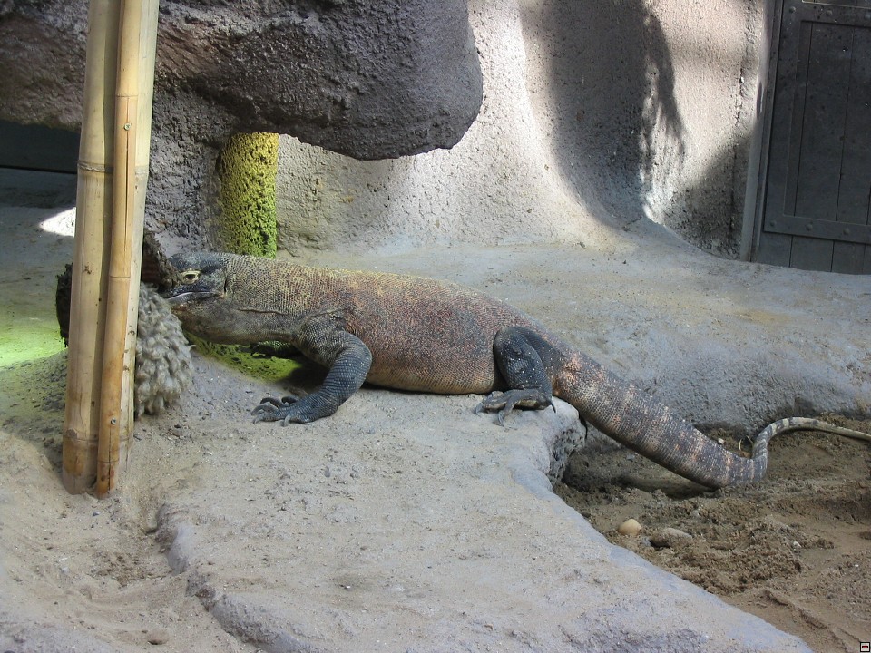 img00114.jpg