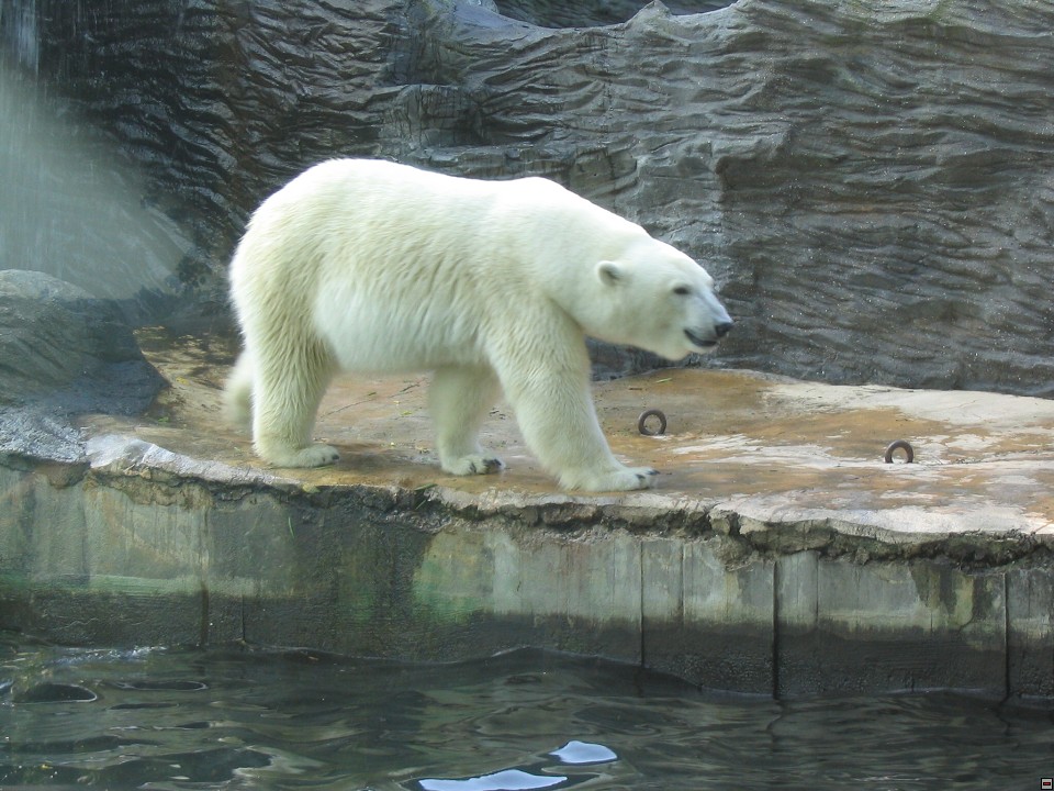 img00117.jpg