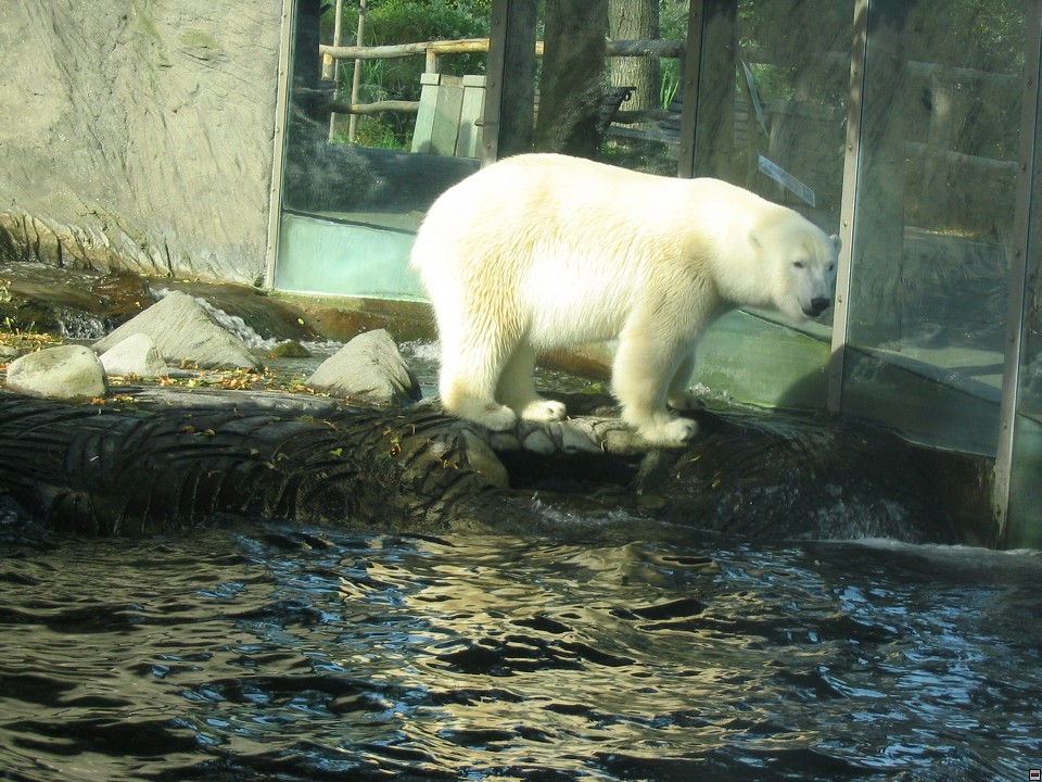 img00119.jpg