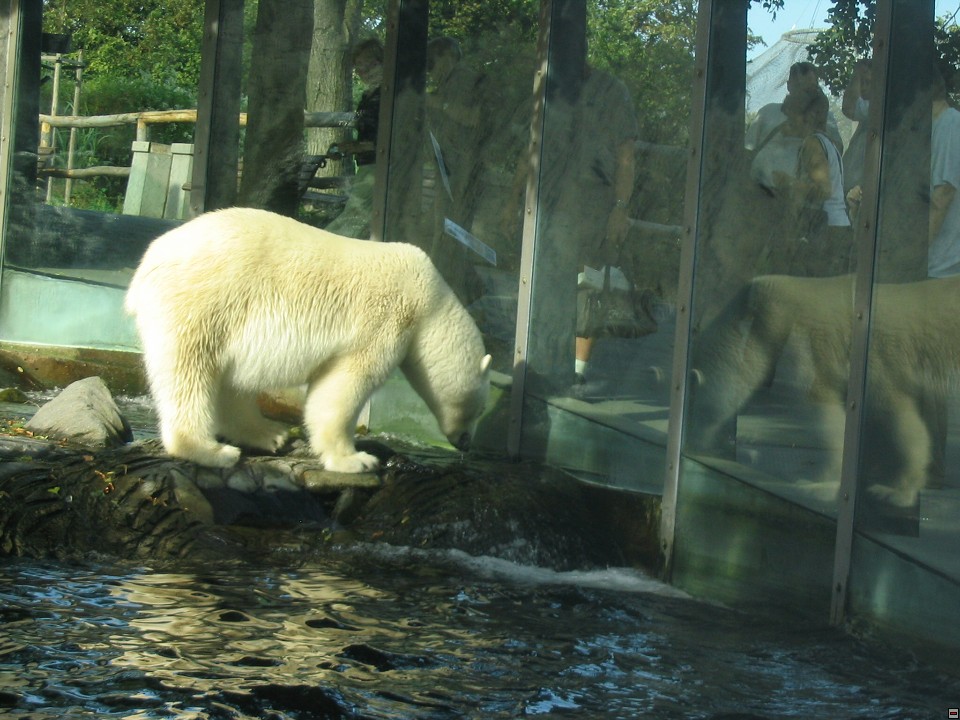img00120.jpg