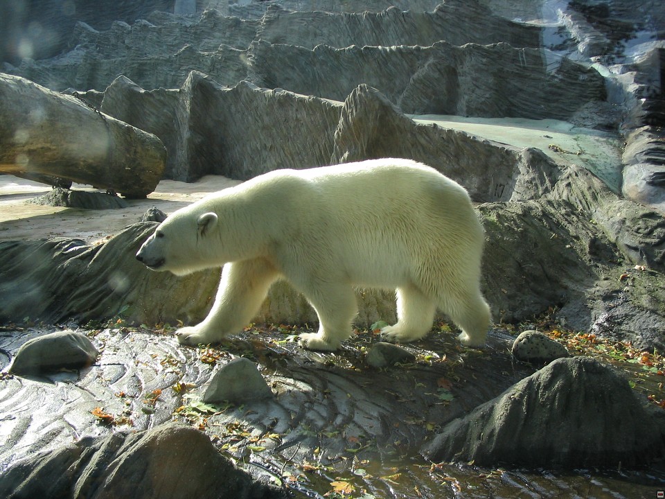 img00122.jpg