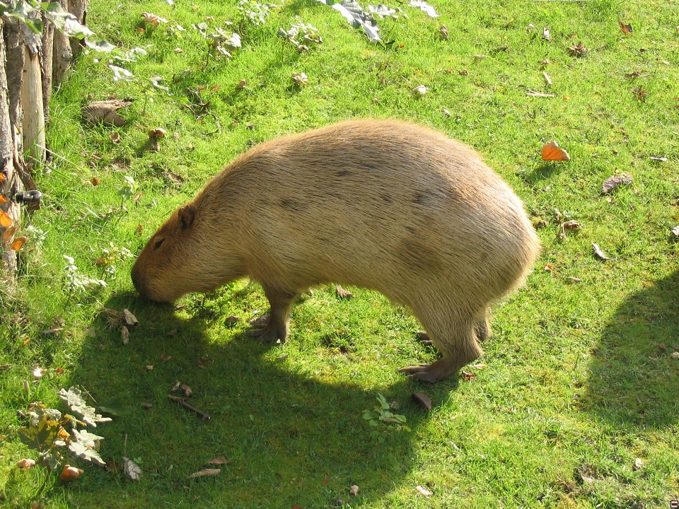 img00123.jpg
