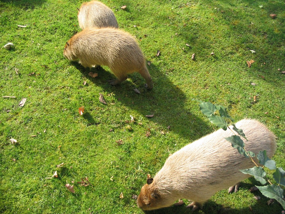 img00124.jpg