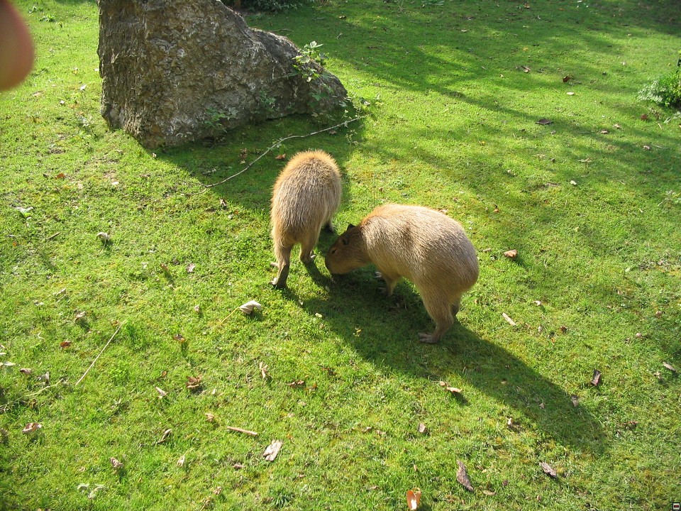img00125.jpg
