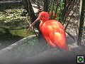 thn00088.jpg