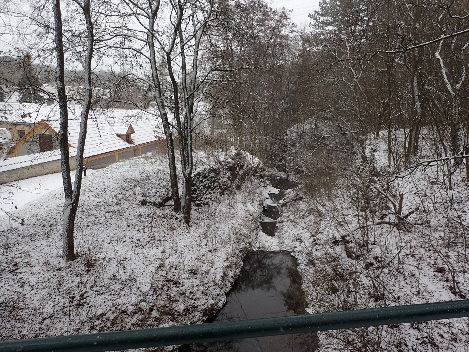 P1261417.JPG