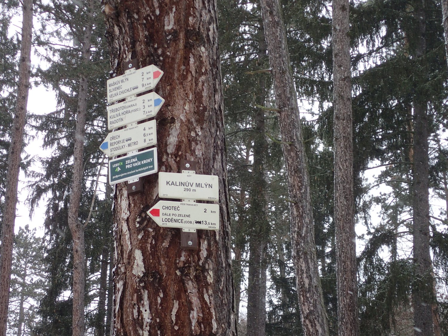 P1261428.JPG