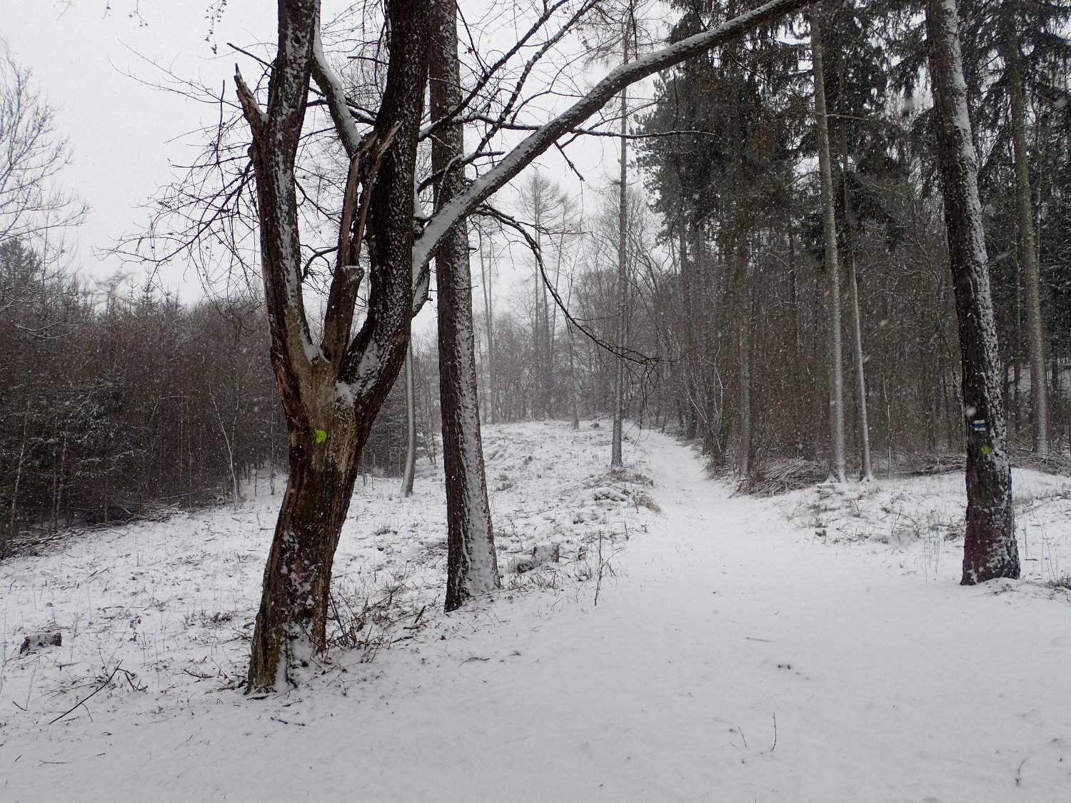 P1261434.JPG