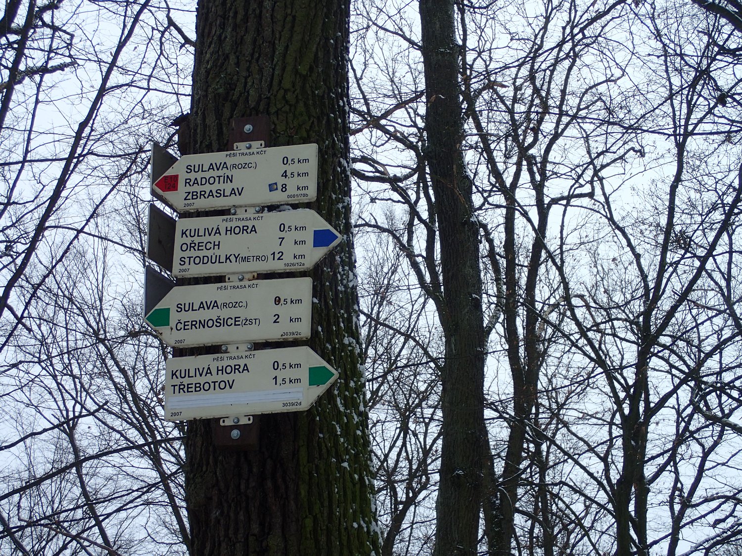 P1261439.JPG
