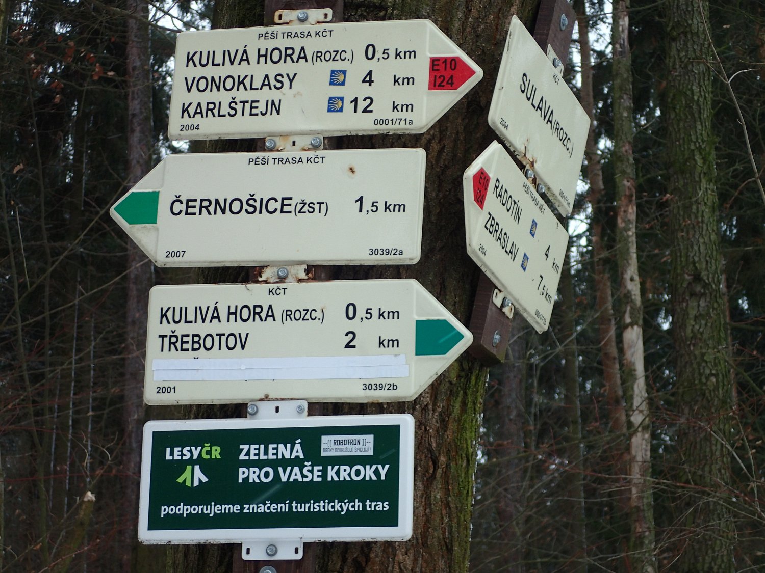 P1261444.JPG