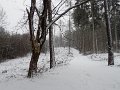 P1261434