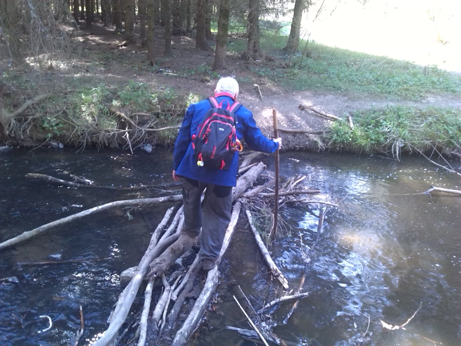 IMG_20190418_122853.jpg