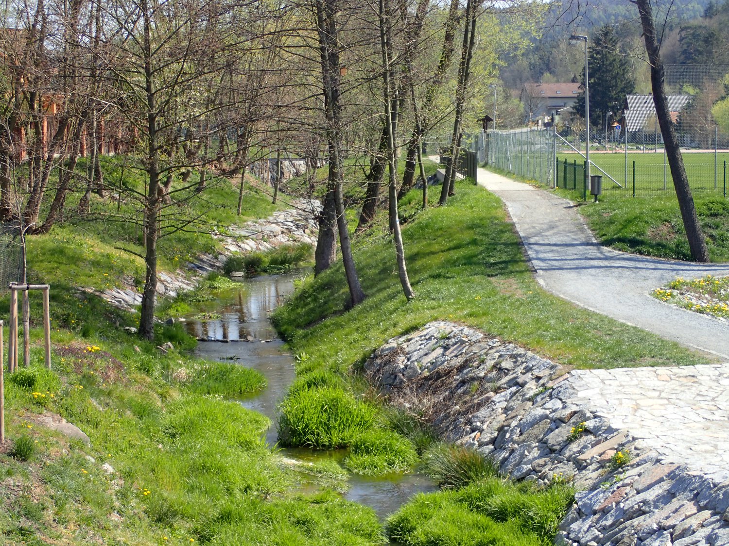 P4181597.JPG
