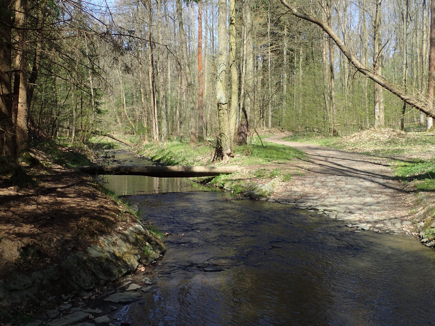 P4181605.JPG