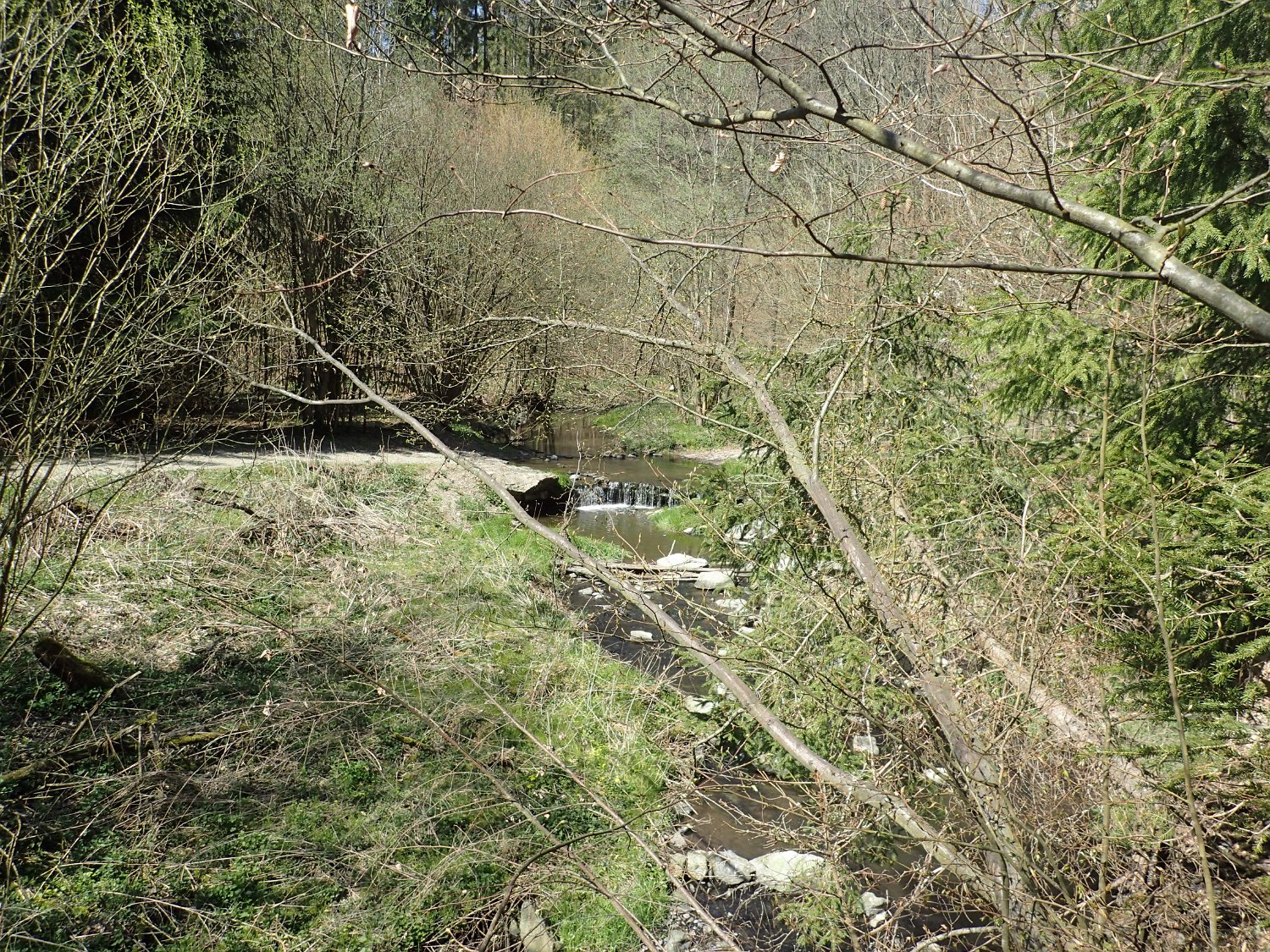 P4181617.JPG