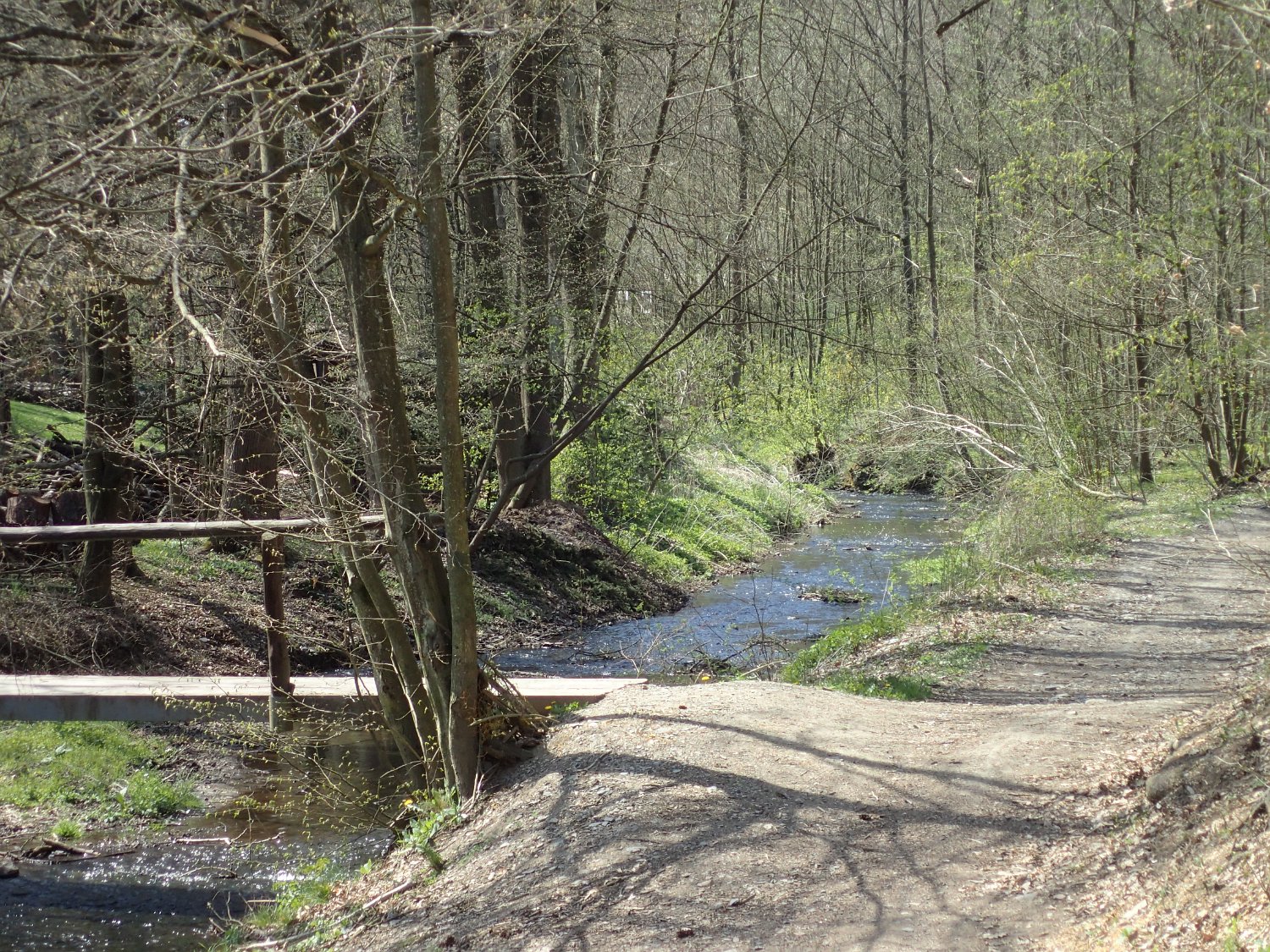 P4181627.JPG