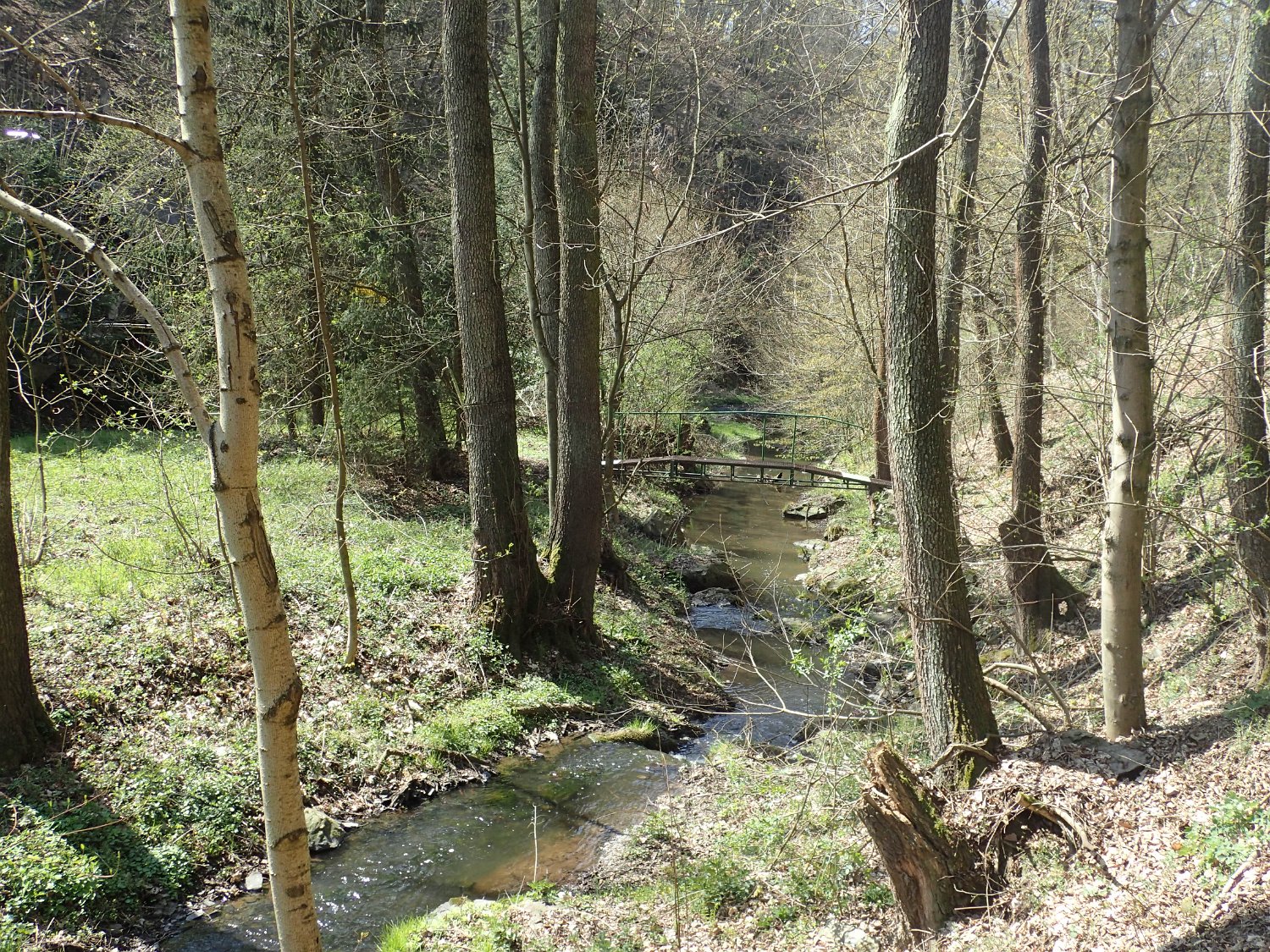 P4181628.JPG