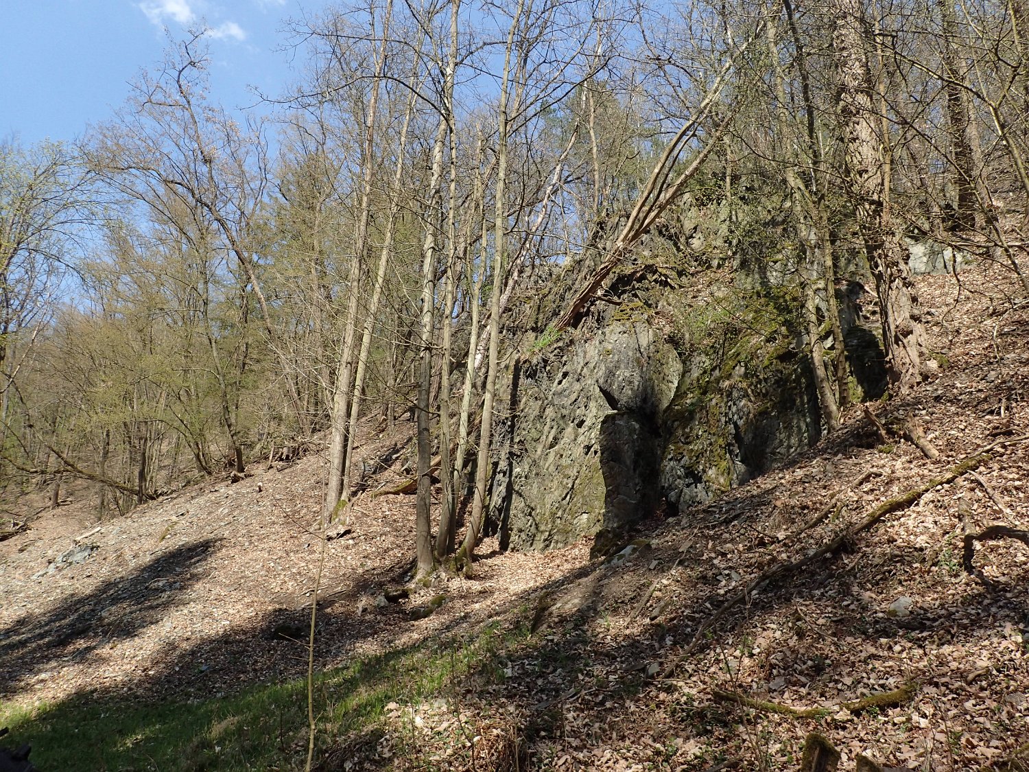 P4181630.JPG