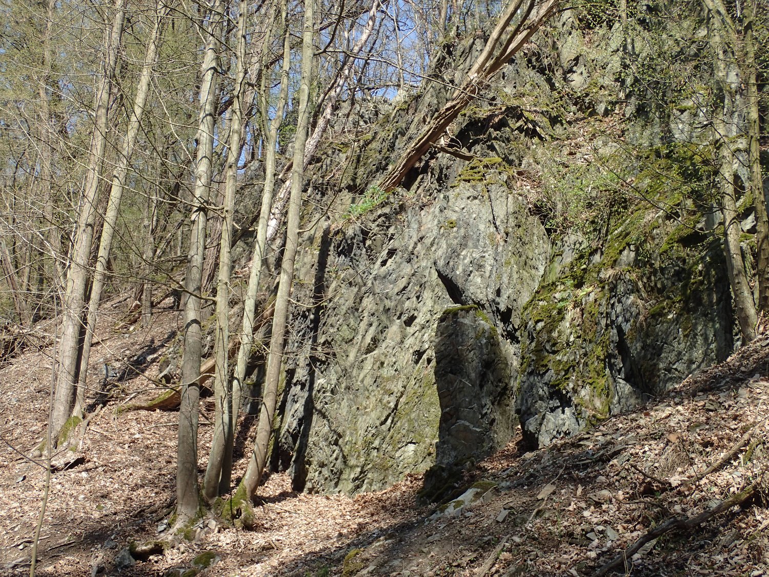 P4181631.JPG