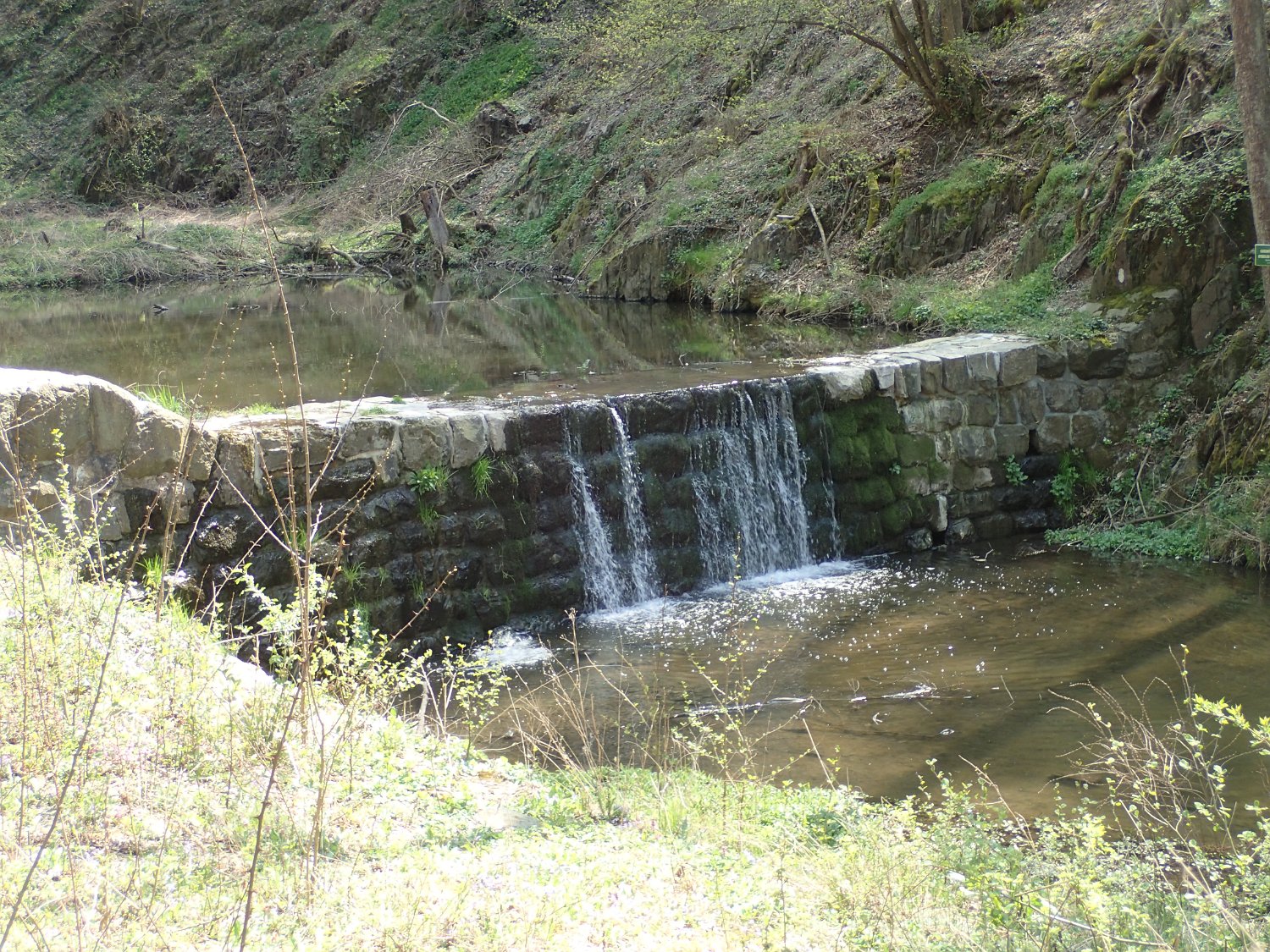 P4181637.JPG