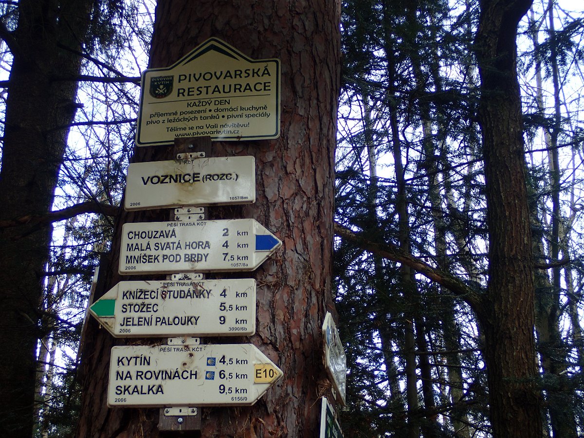 P2062563.JPG