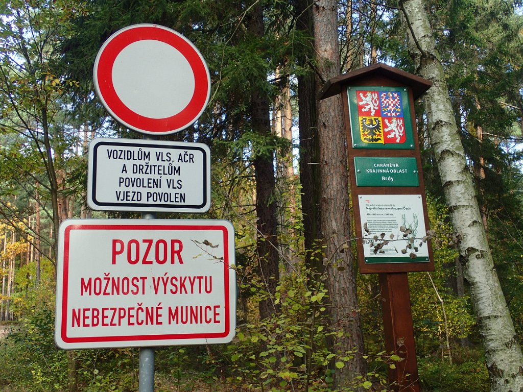 PA132103.JPG
