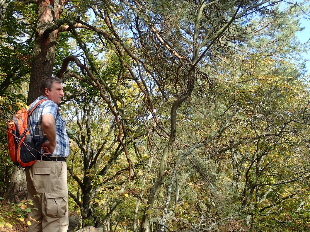 PA132113.JPG