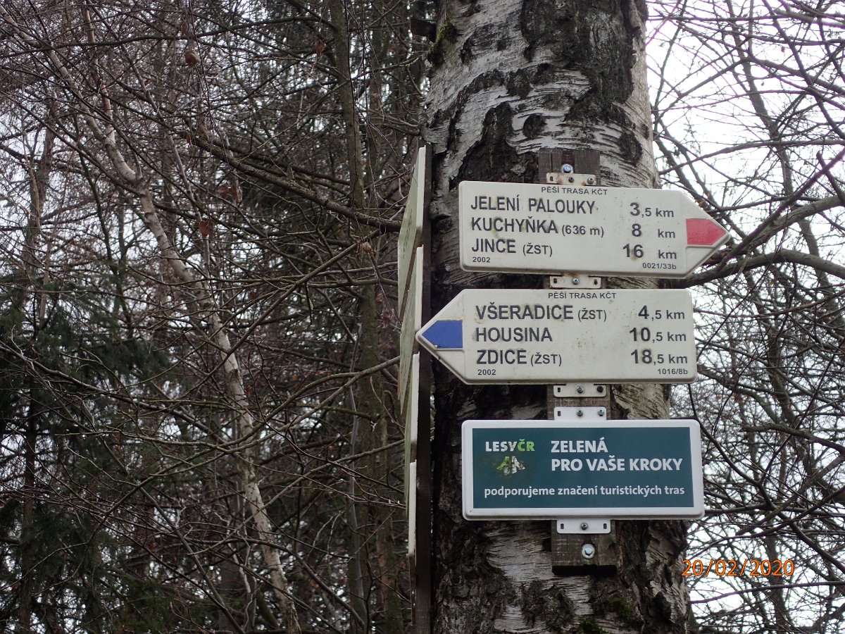 P2202587.JPG
