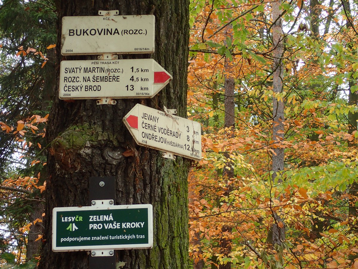 PA271306.JPG