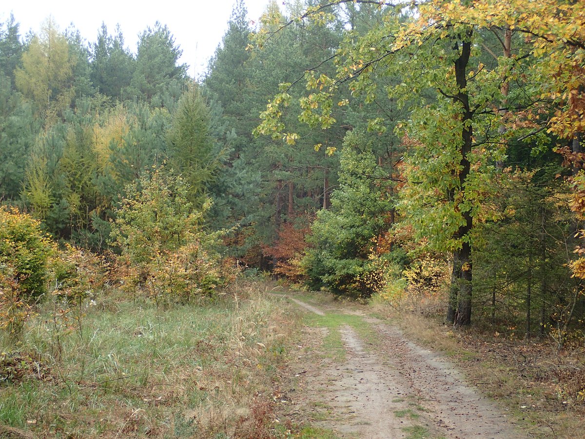 PA271310.JPG