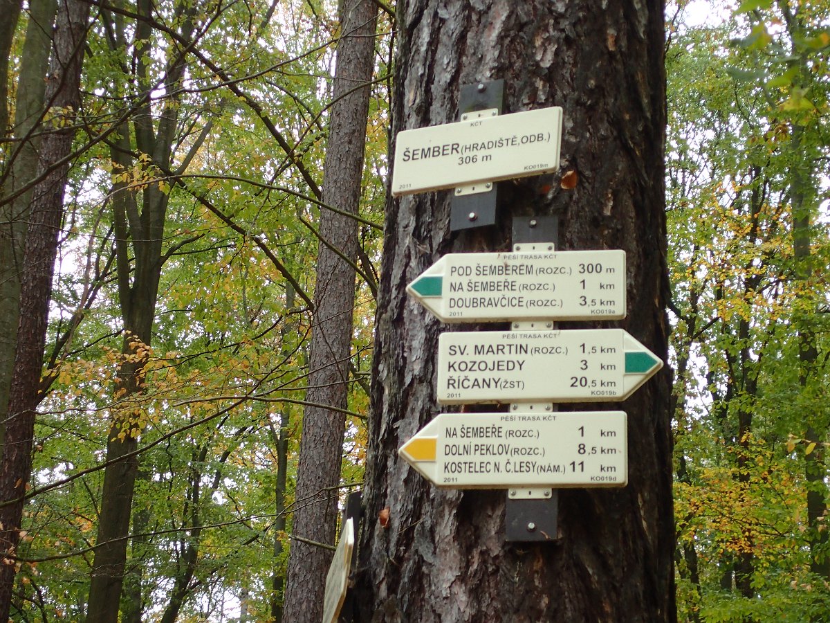 PA271321.JPG