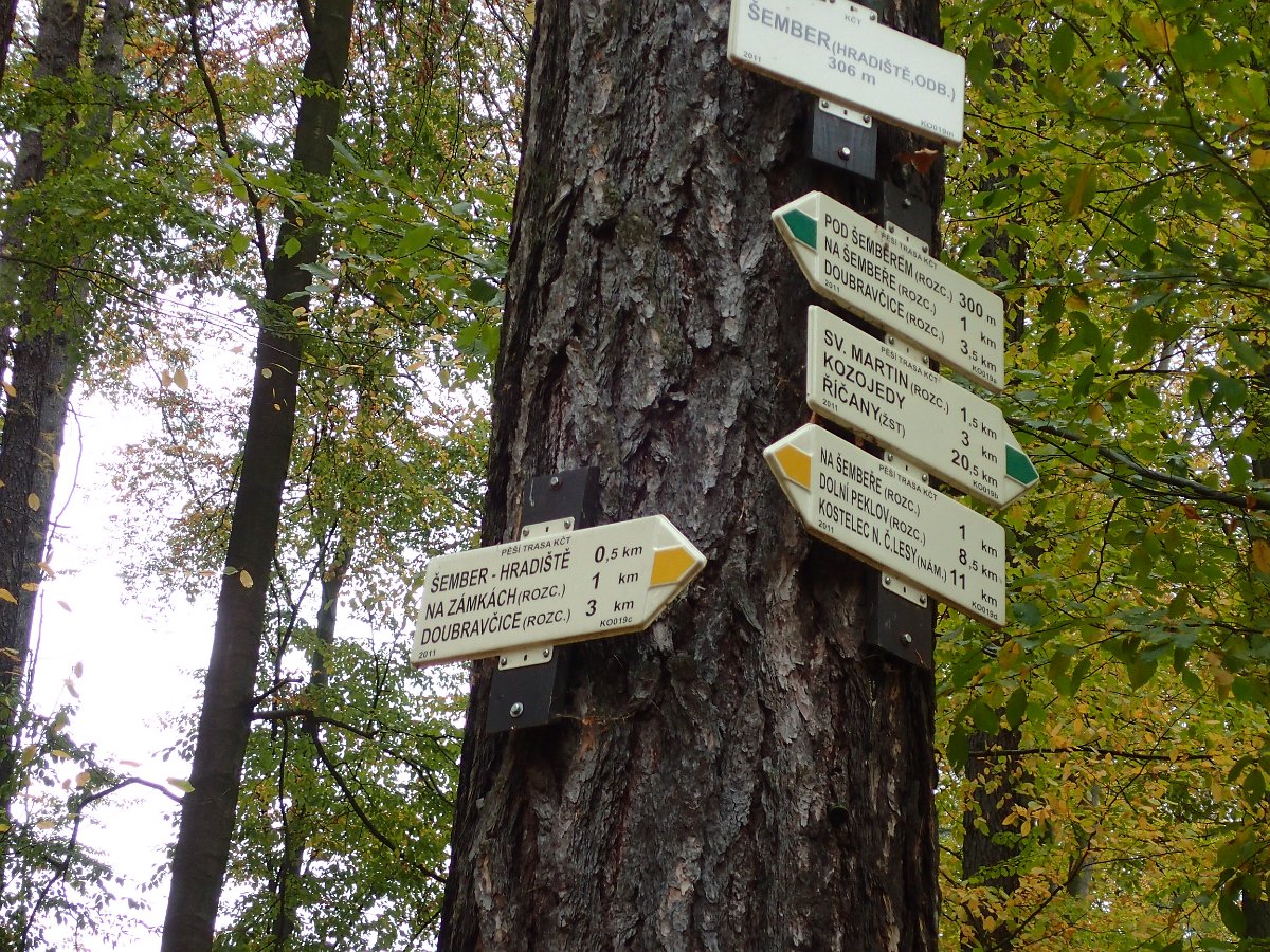PA271322.JPG