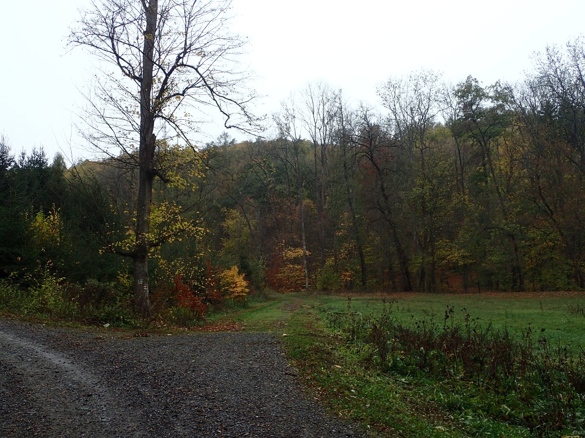 PA271329.JPG