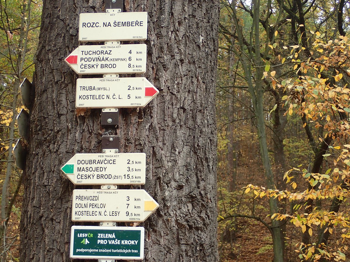 PA271333.JPG