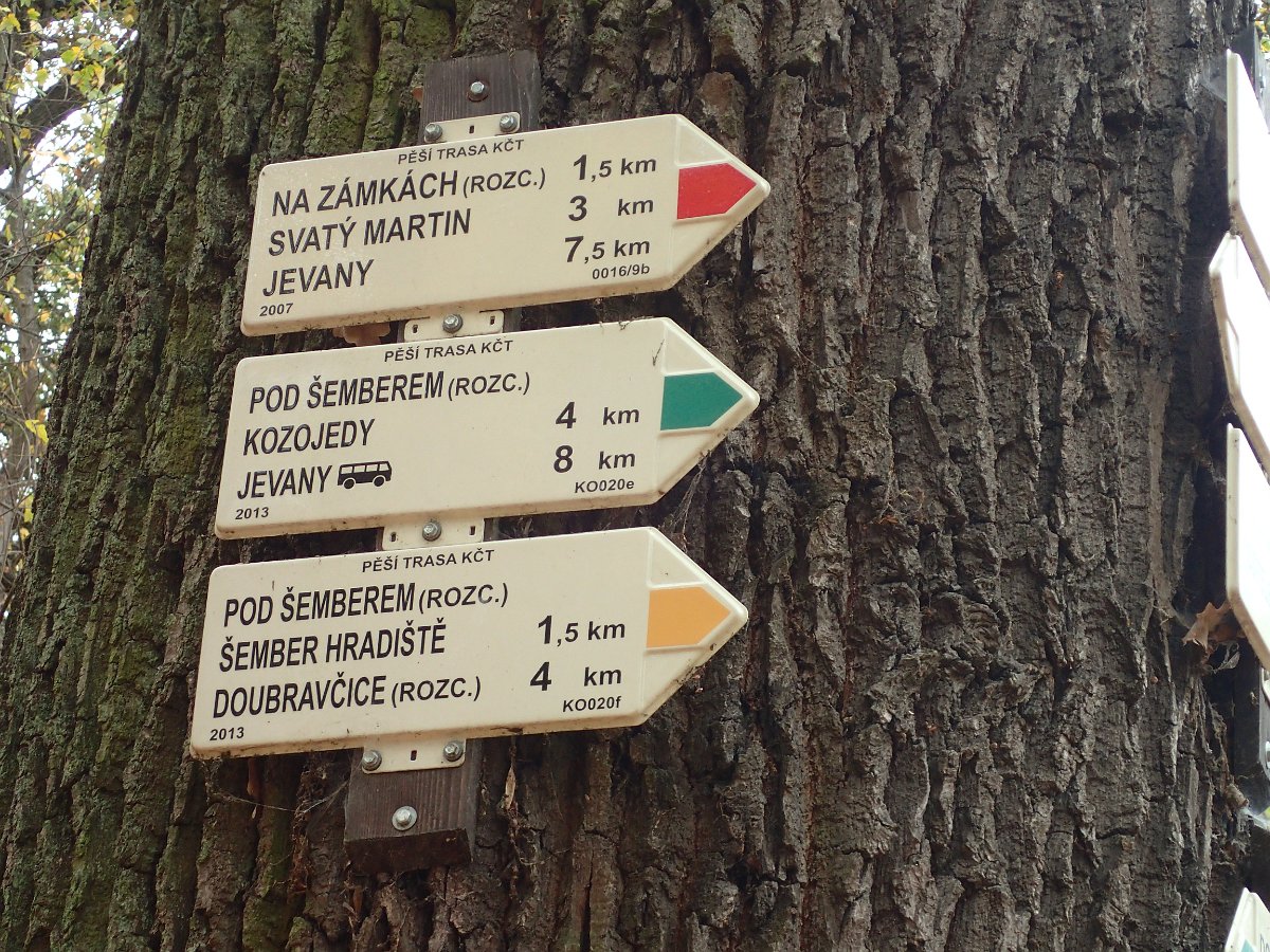 PA271334.JPG