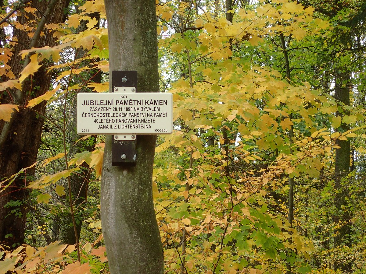 PA271335.JPG