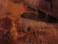 IMG_5121