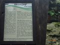 P6113035