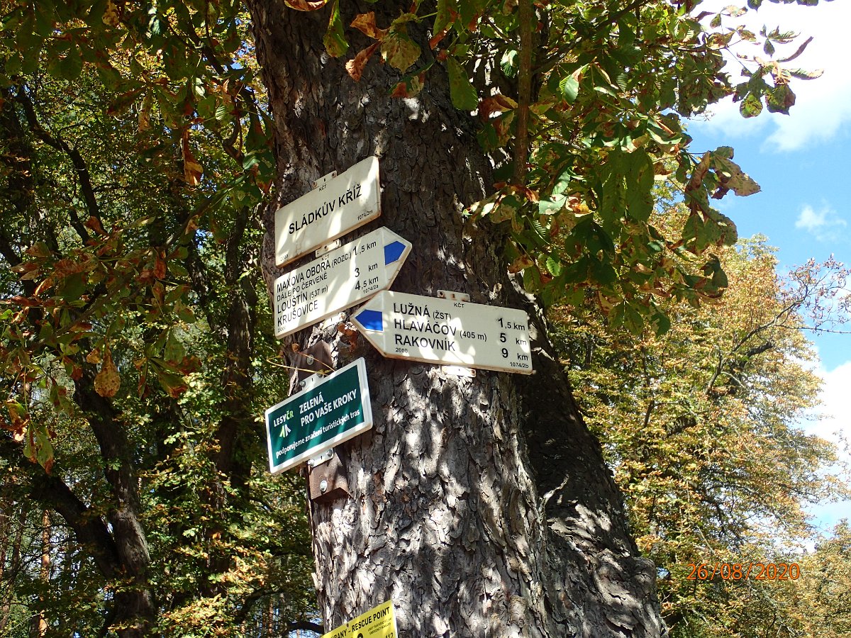 P8263417.JPG