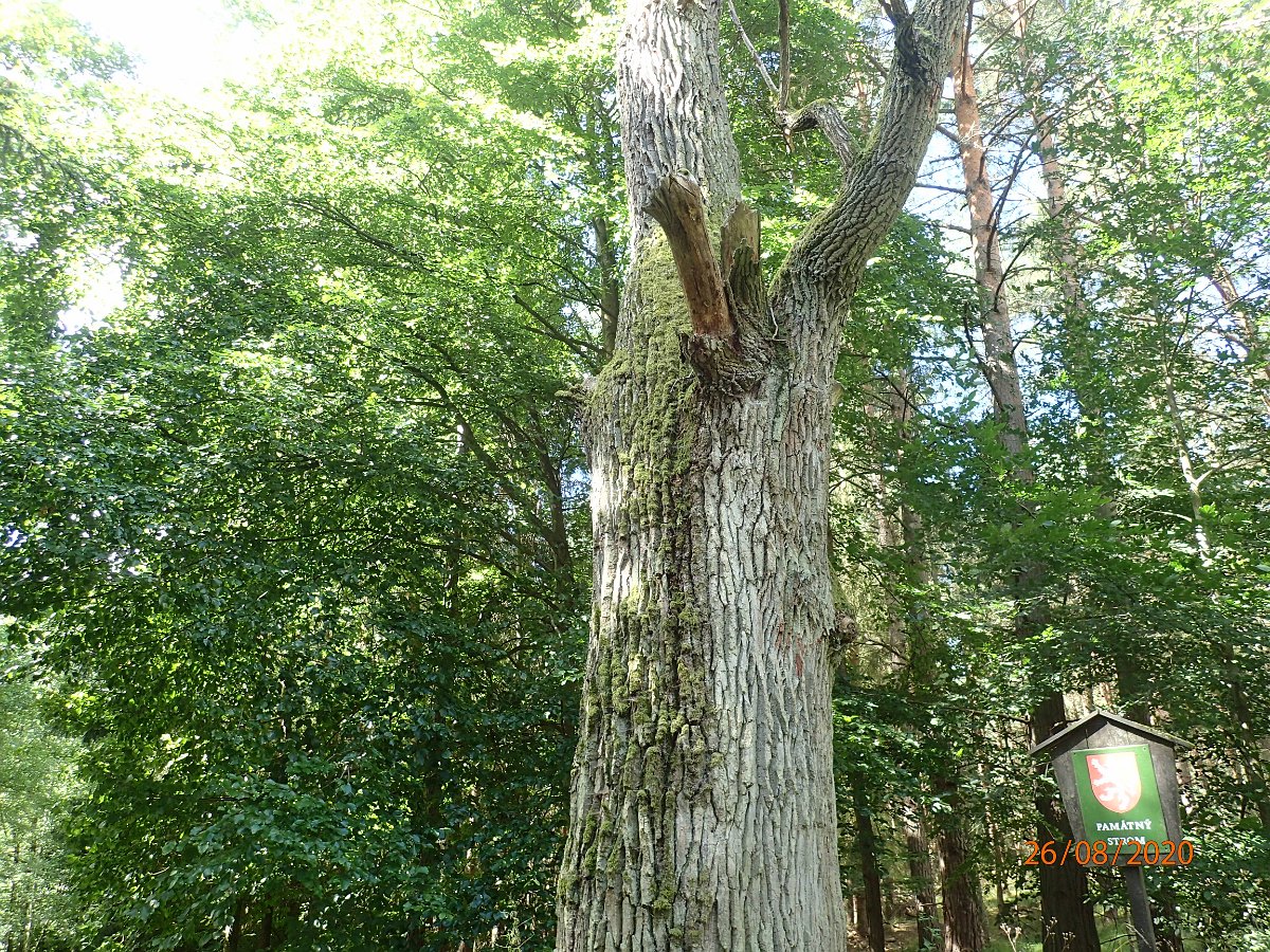 P8263430.JPG