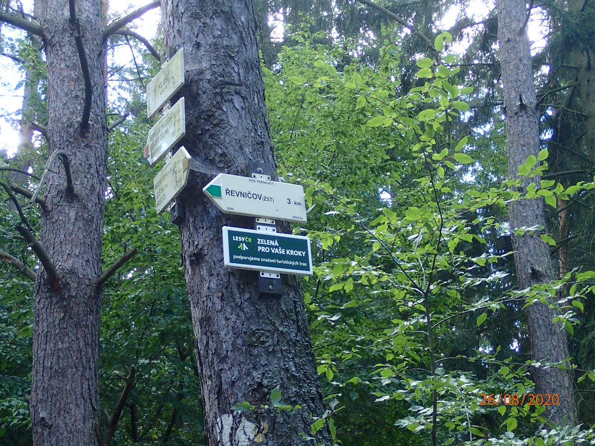 P8263435.JPG