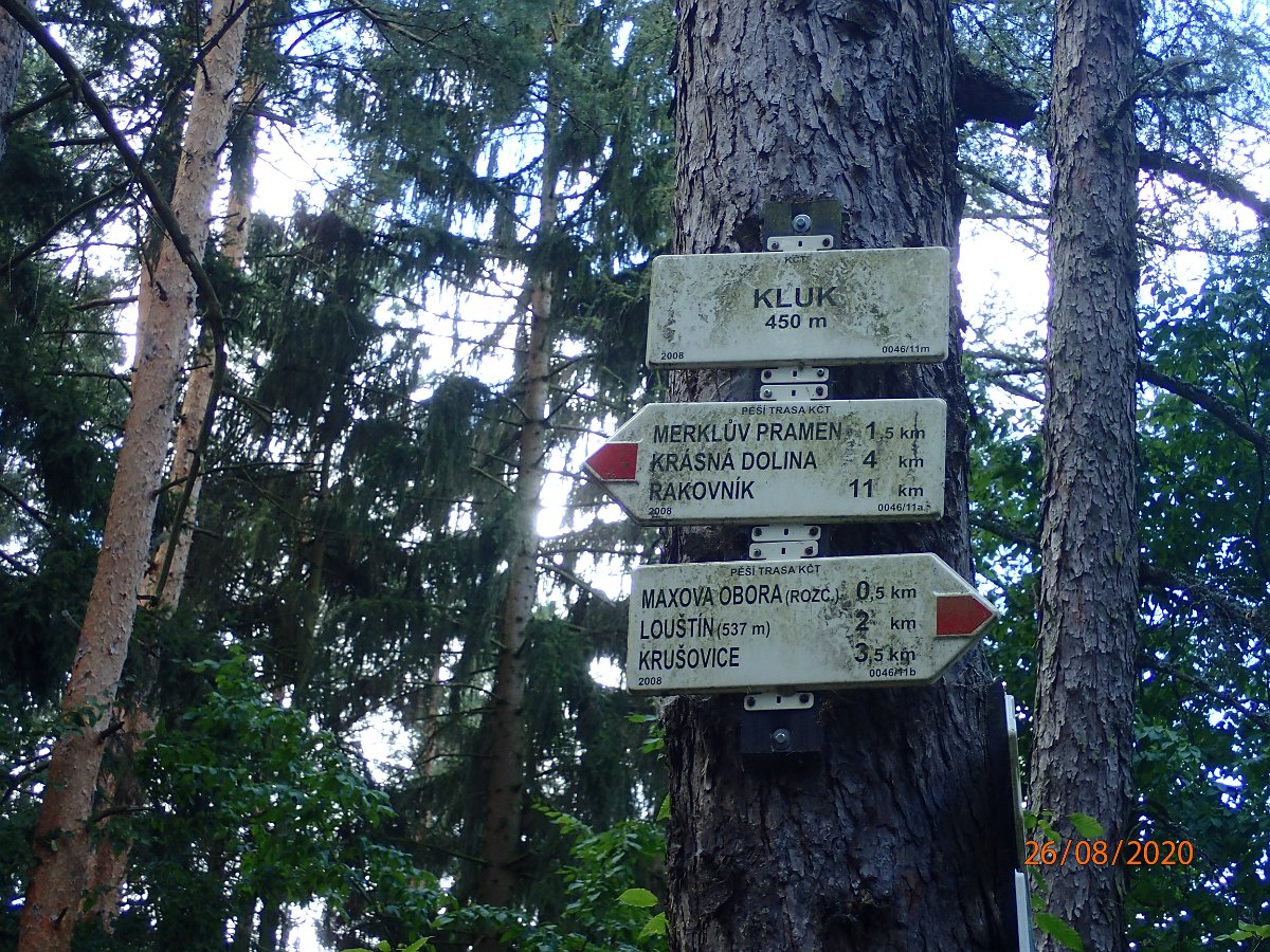 P8263436.JPG