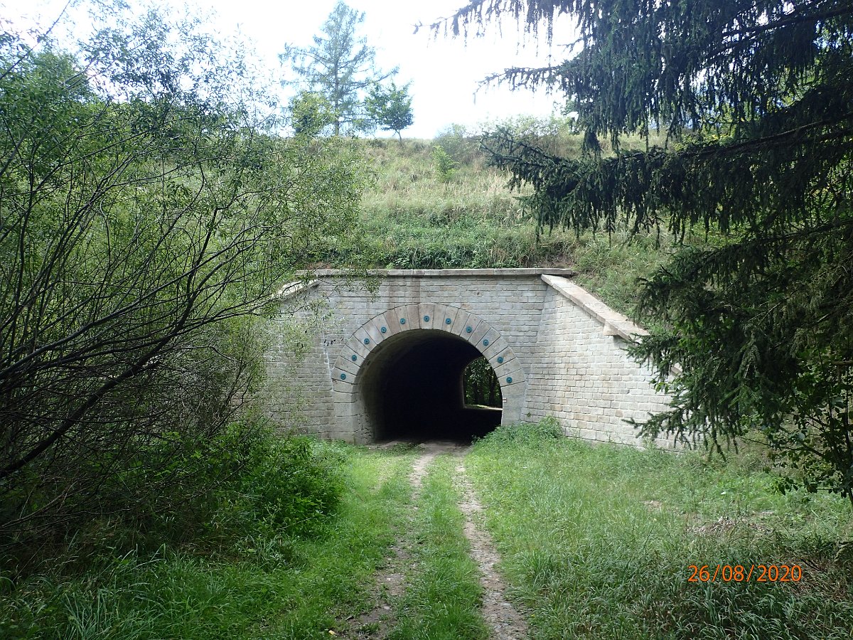 P8263452.JPG