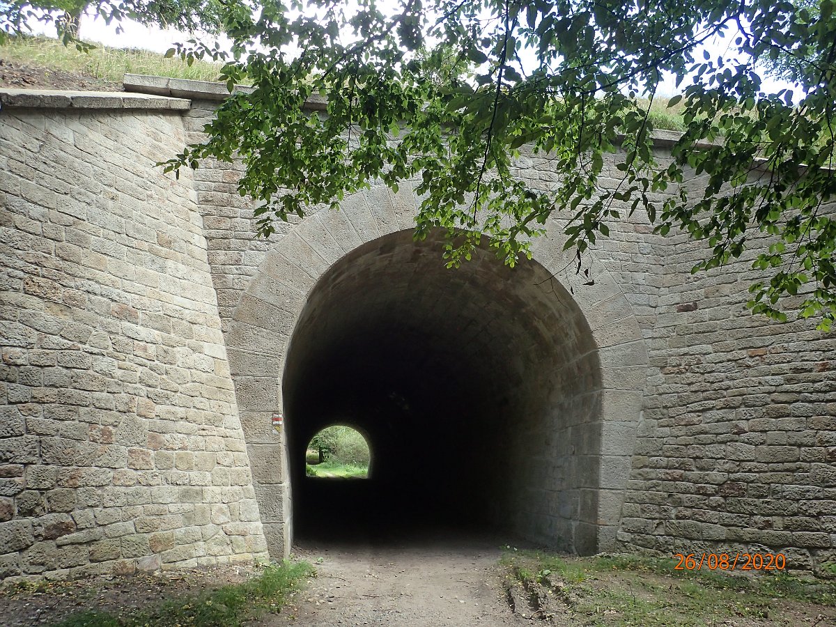 P8263454.JPG
