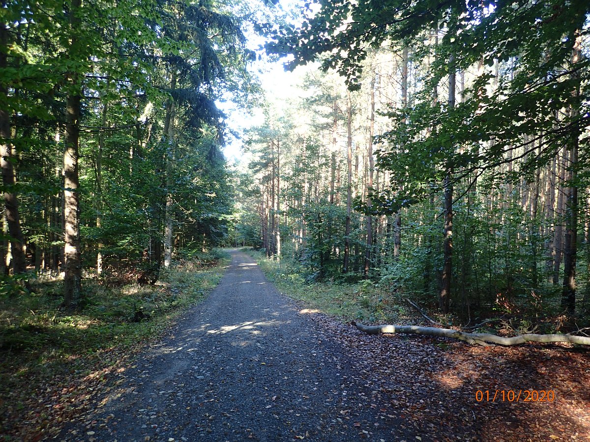 PA013684.JPG