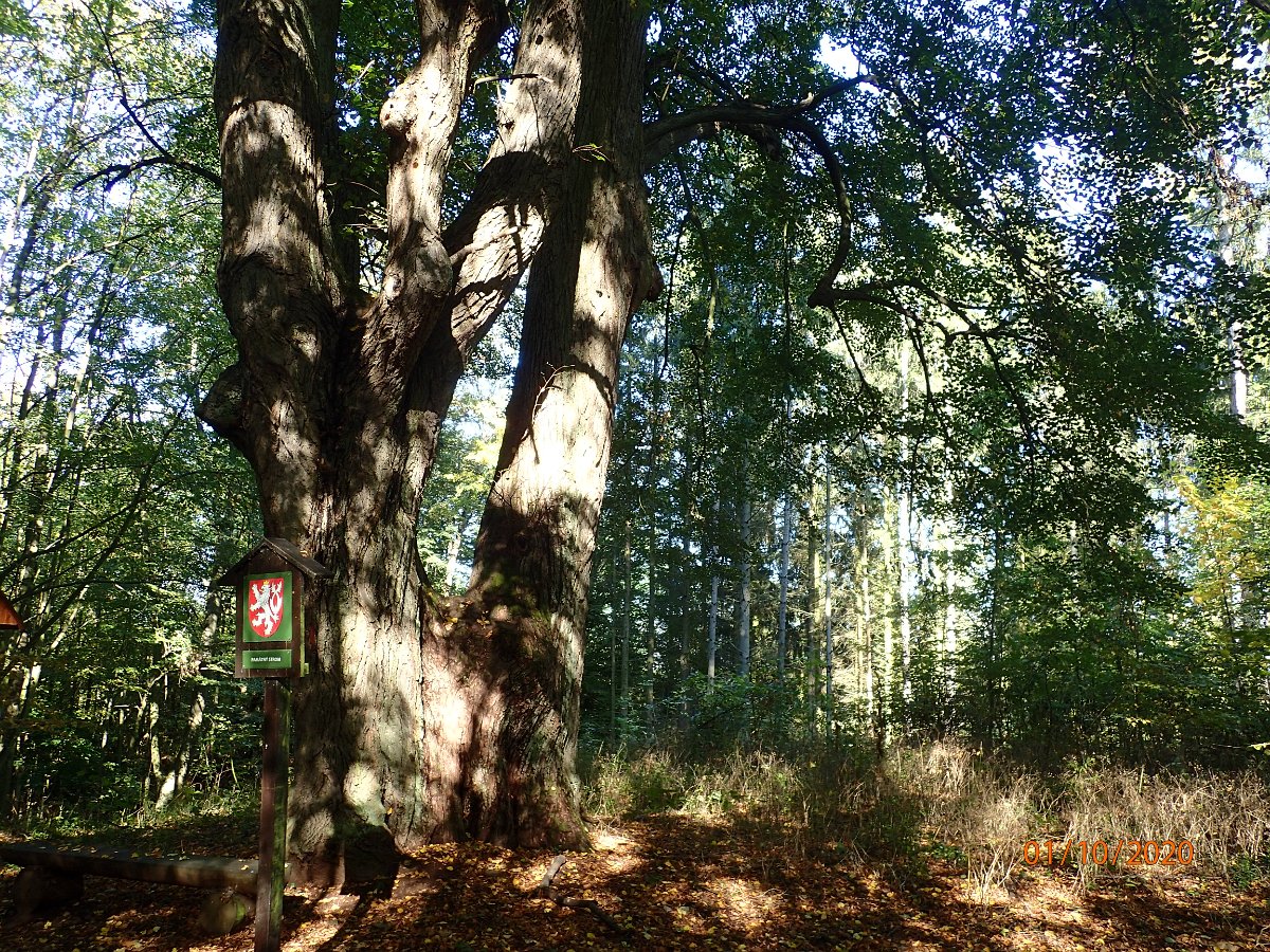 PA013698.JPG