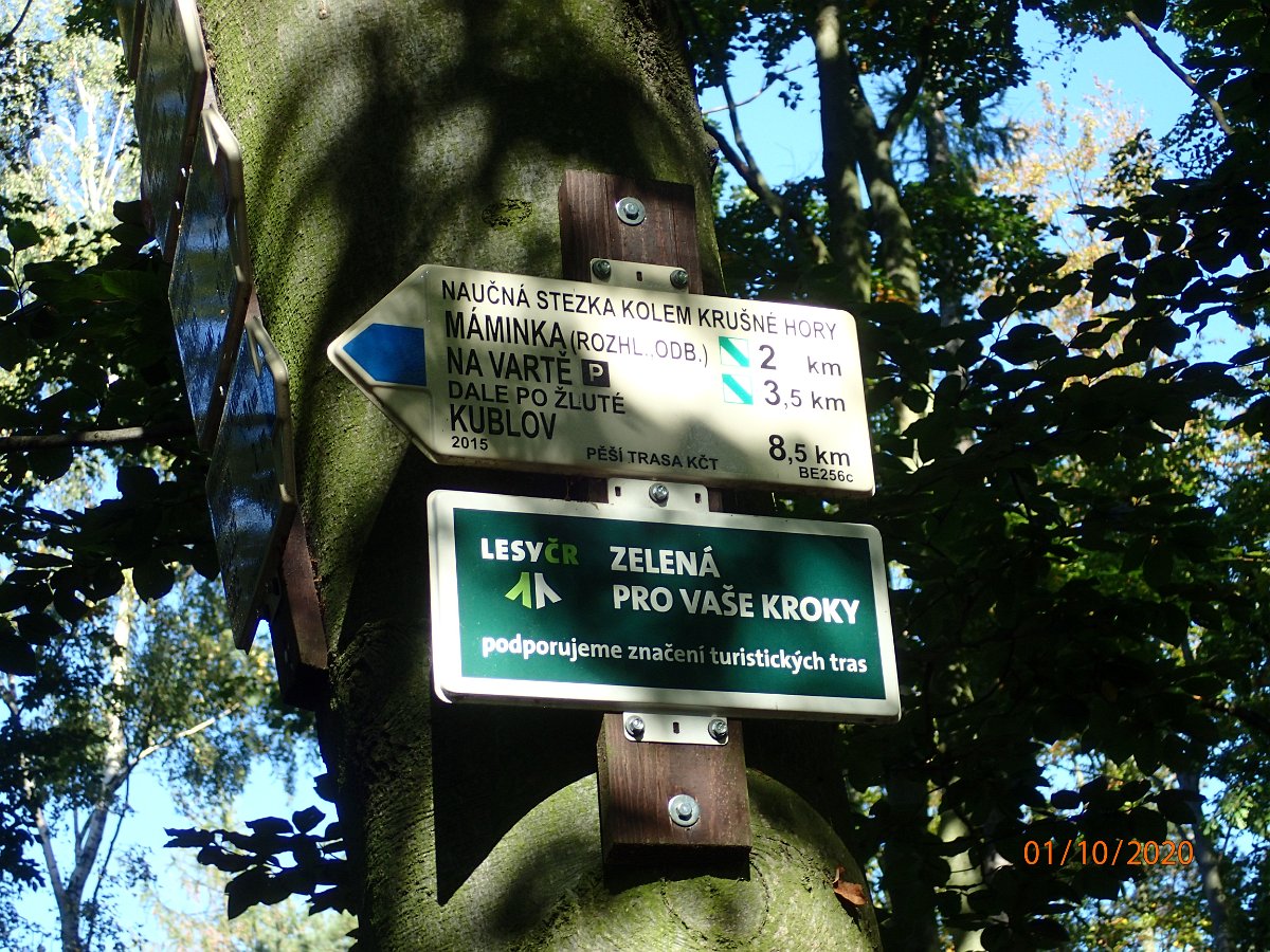PA013709.JPG
